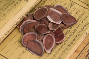 散落在古书上的梅花鹿茸