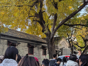 秋天的老北京胡同