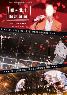 演唱会现场激情瞬间