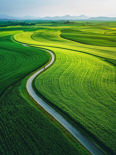 蜿蜒小路穿行翠绿田野