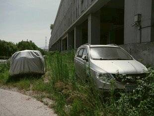 废弃车辆停于杂草丛生处