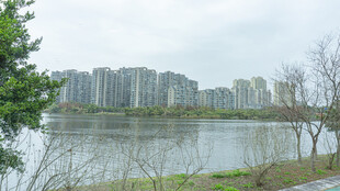 河畔城市景观 宁静美好