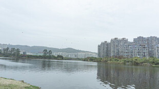 湖畔城市风光