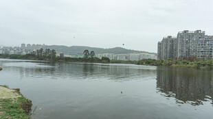 湖畔城市景观宁静画面