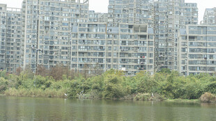 湖畔林立的现代高层住宅