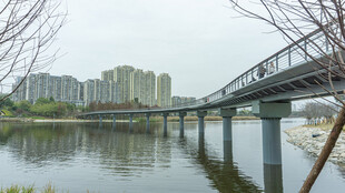 河畔桥梁与远处城市景观