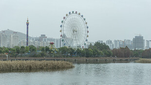 湖畔摩天轮风景