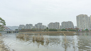 城市河畔风景