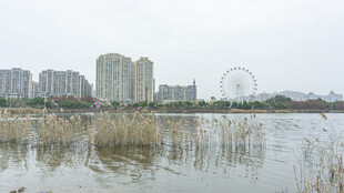 城市湖畔风景