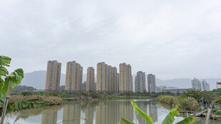 河畔高楼林立的城市景观