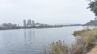 河畔城市风光远景