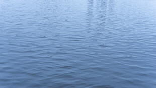 平静水面的波纹景象