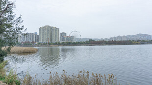 湖畔城市风光景色