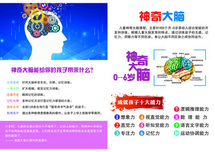 探索人脑奥秘