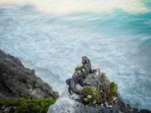 海边岩石上的壮丽海景
