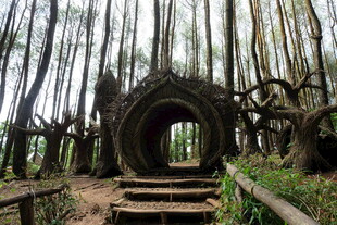 森林中的神秘拱形建筑