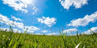 蓝天绿草间的明媚风光