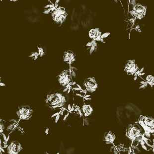 黑白花卉图 优雅别致