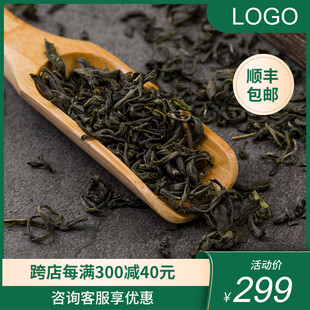 精选绿茶茶叶品味茶香