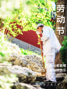 园林工人专注修剪绿植