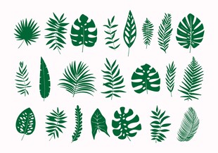 热带绿植素材