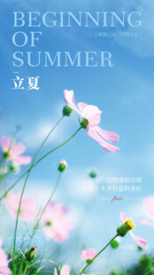 立夏