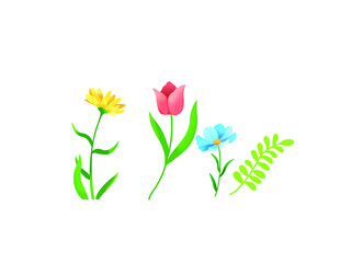 小野花