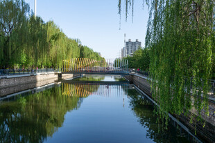 河畔垂柳小桥静谧水景