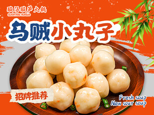 乌贼小丸子 
