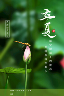 立夏海报