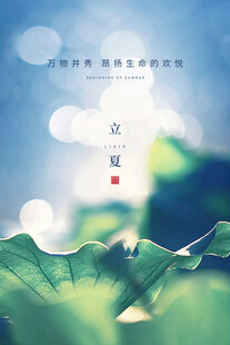 立夏海报 