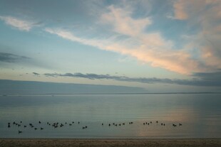 海边梦幻天空与飞鸟景致