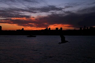 夕阳下的水面与飞鸟剪影