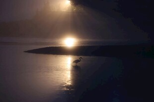 湖畔微光下的静谧景象