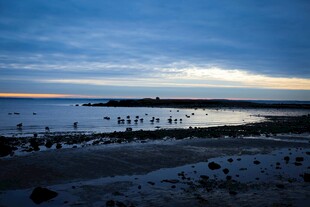 海边黄昏景色 静谧美好