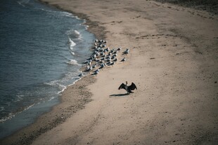 海滩上的人群与海浪美景