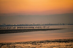 夕阳下的宁静河岸风光