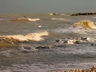 海浪翻涌的壮阔海滨景象