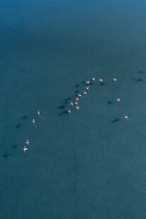 海面上成群船只排列景象