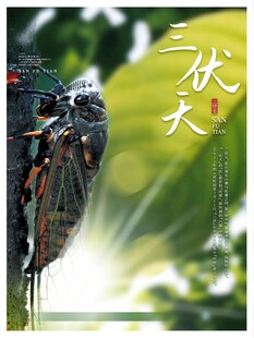 大暑海报 