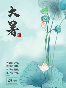 大暑海报 