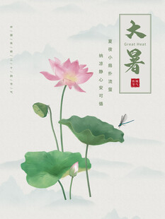 大暑海报 