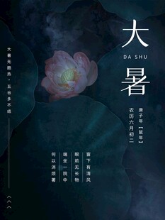 大暑海报