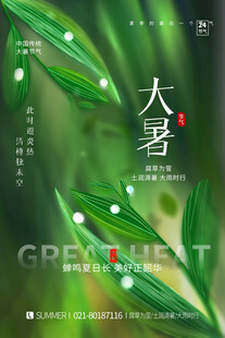 大暑海报 