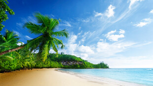 美丽热带海滩风光