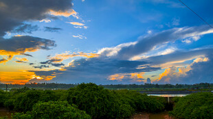 黄昏下的树海与绚丽天空