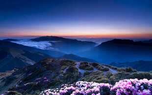 山间晨景繁花映霞光