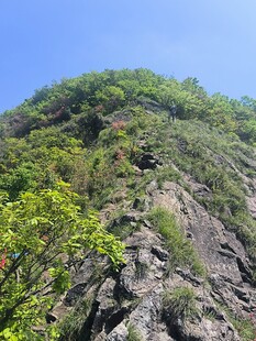 登山