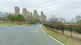 城市道路旁的林立高楼