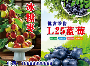 冰糖枣 L25蓝莓